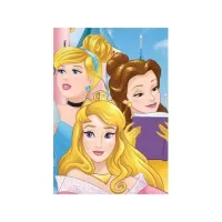 Plaid Petite Couverture Polaire Princesses Disney Principale