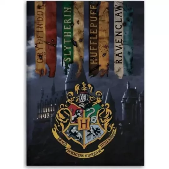Plaid Petite Couverture Polaire Harry Potter 4 Ecoles Principale