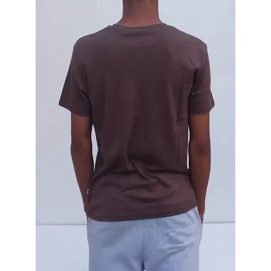 Tee Shirt Uni US POLO 100% Coton du S au XL Couleur Marron Do