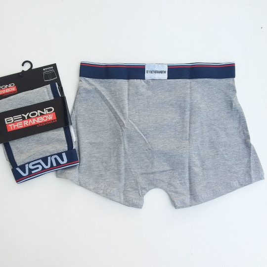 Caleçon Boxer Hommes NASA du S au 2XL Gris Do