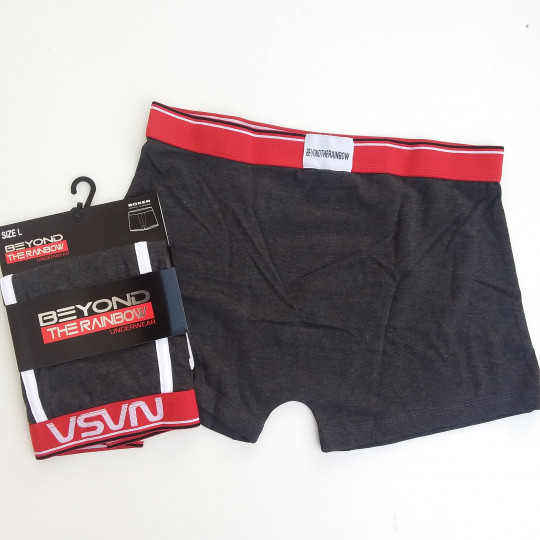 Caleçon Boxer Hommes NASA du S au 2XL Gris Foncé Do