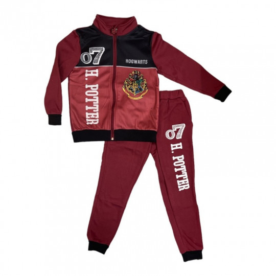 Ensemble de Jogging Unisexe Harry Potter Principale