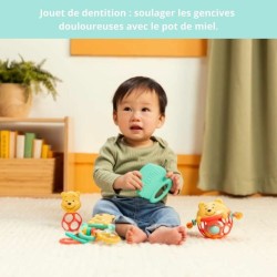 Ensemble de Jouets pour Bébés Disney BABY WINNIE Multicouleur 5 Pièces