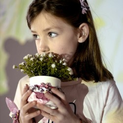 Elastiques pour Cheveux Disney   Rose Minnie Mouse Lien Lot